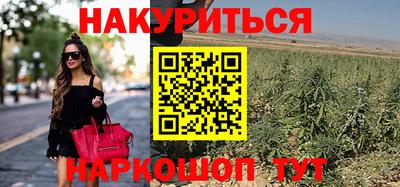 прущие грибы Можга