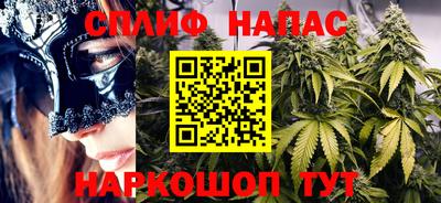 бошки Моздок