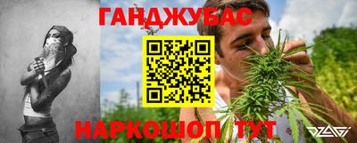 прущие грибы Можга