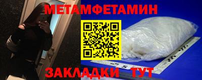 прущие грибы Можга
