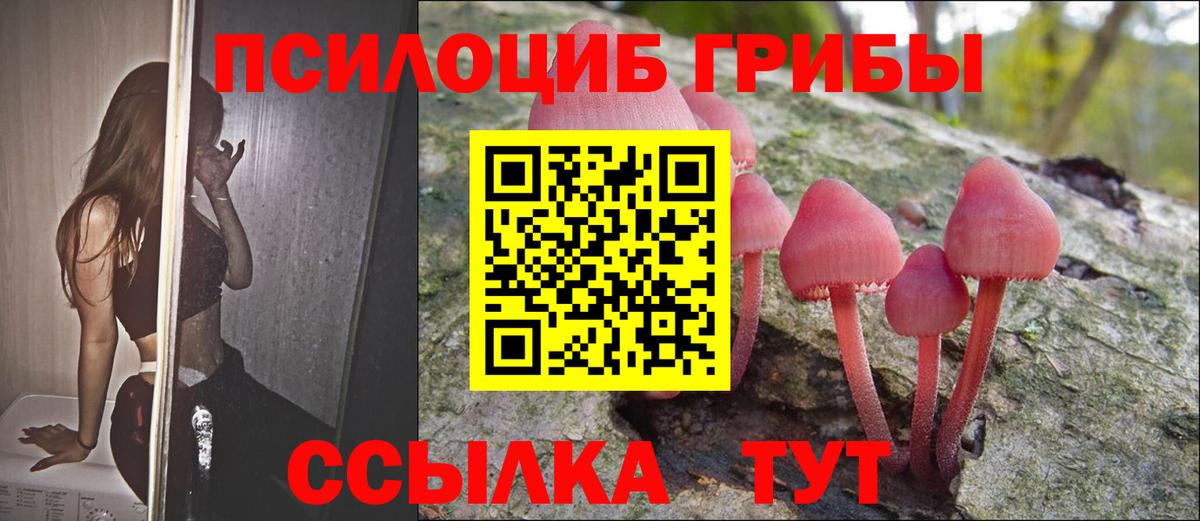 Галлюциногенные грибы мицелий  Псилоцибиновые грибы GOLDEN TEACHER  Холмск  Вход с VPN 